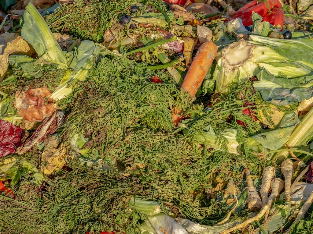 Recogida de productos caducados